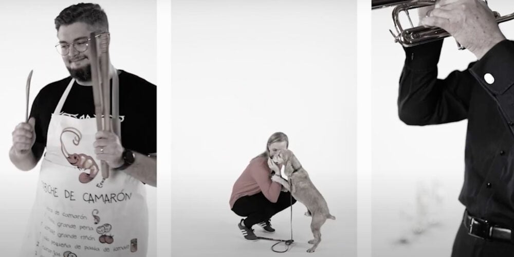 Mitarbeiter Recruting Video